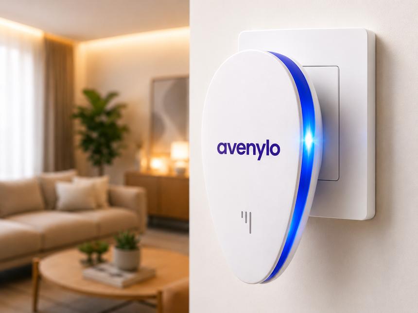 Avenylo branché dans un salon